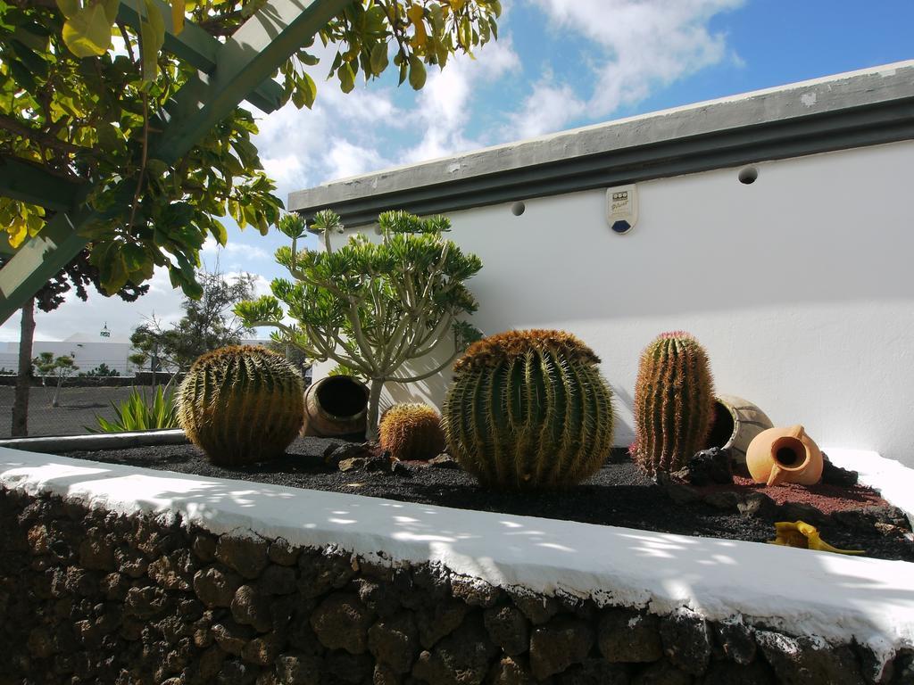 Apartamentos Guacimeta Matagorda  Bagian luar foto