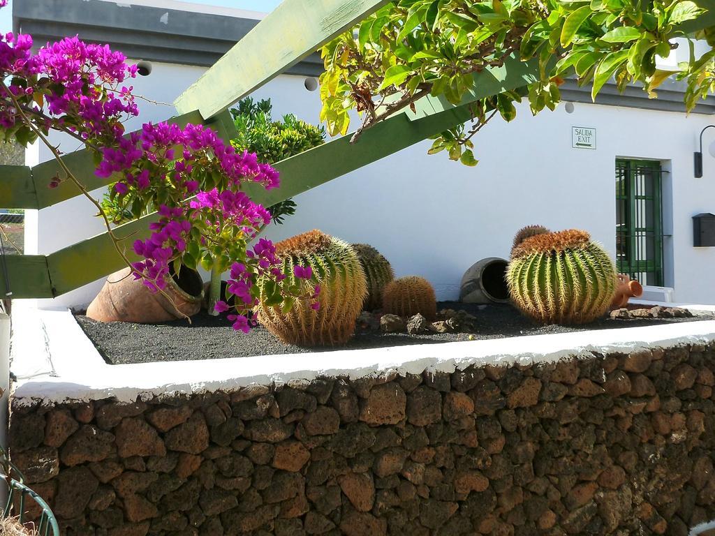 Apartamentos Guacimeta Matagorda  Bagian luar foto